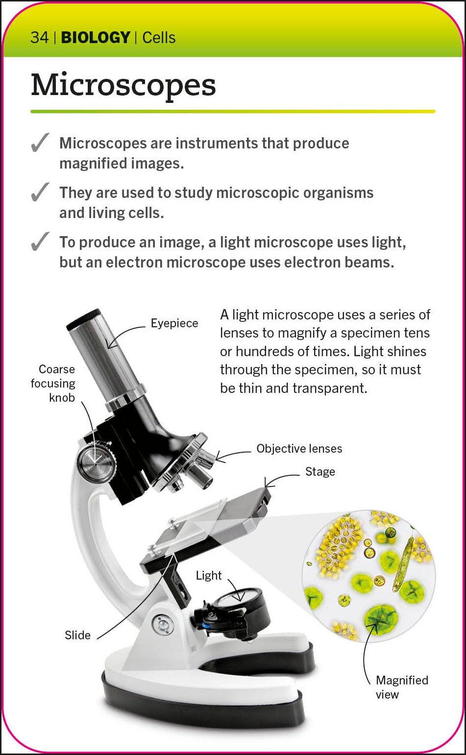 Super Simple Biology Flash Cards-Spread, Image, (PRHC, Design, Do, Not, Use)-2