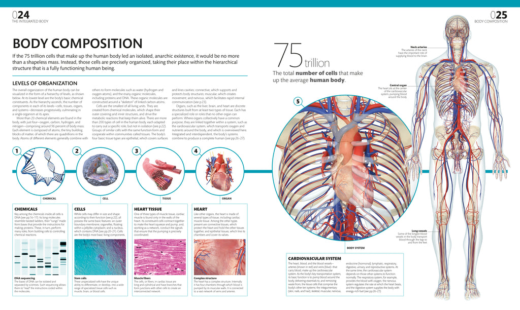 The Complete Human Body