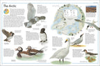 The Bird Atlas