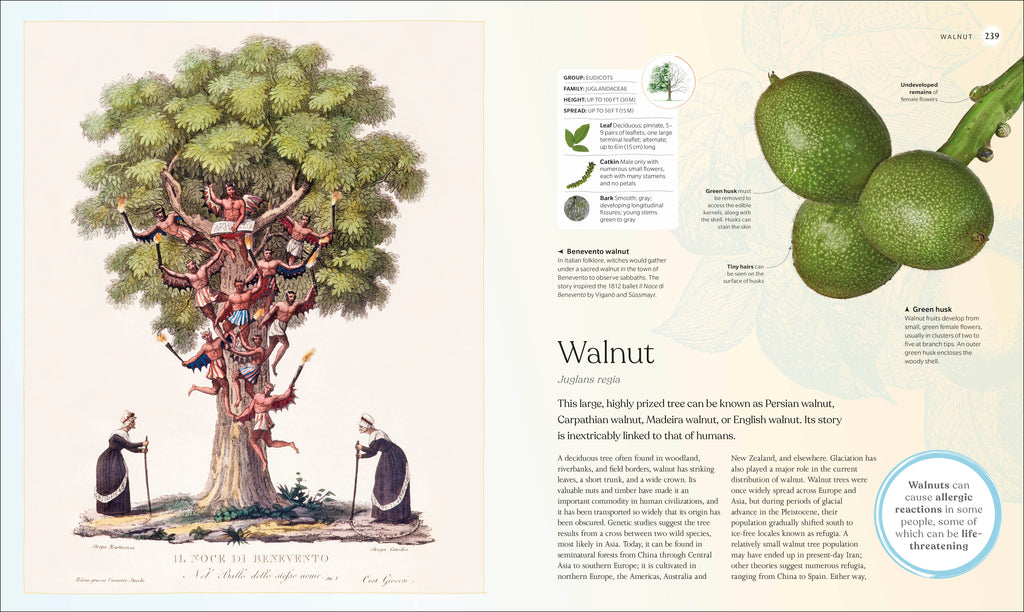 The Tree Book-Spread, Image, (PRHC, Design, Do, Not, Use)-11