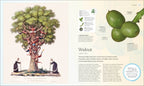 The Tree Book-Spread, Image, (PRHC, Design, Do, Not, Use)-11