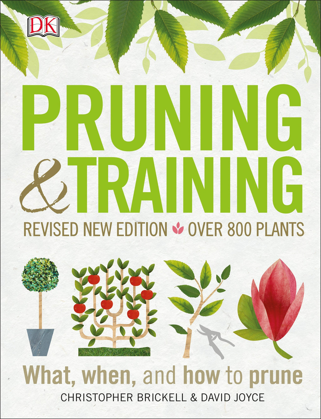 Pruning and Training