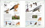 RSPB Complete Birds of Britain and Europe
