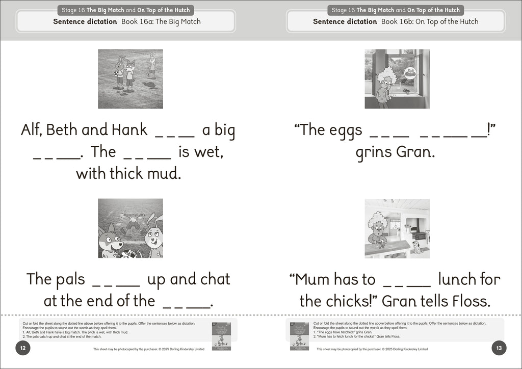 Phonic Books Dandelion Launchers Extras Stages 16-20 Reading and Writing Activities