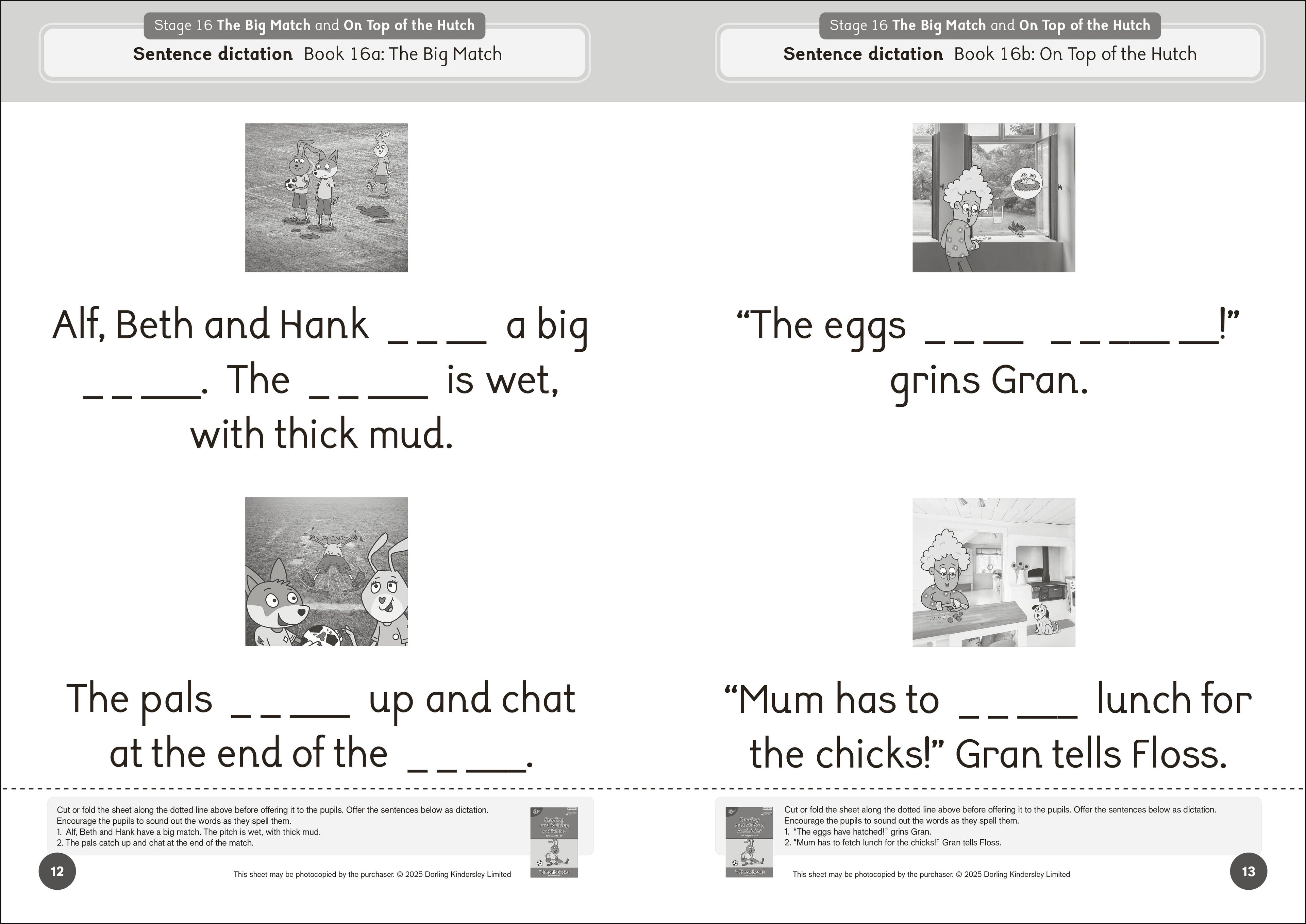 Phonic Books Dandelion Launchers Extras Stages 16-20 Reading and Writing Activities