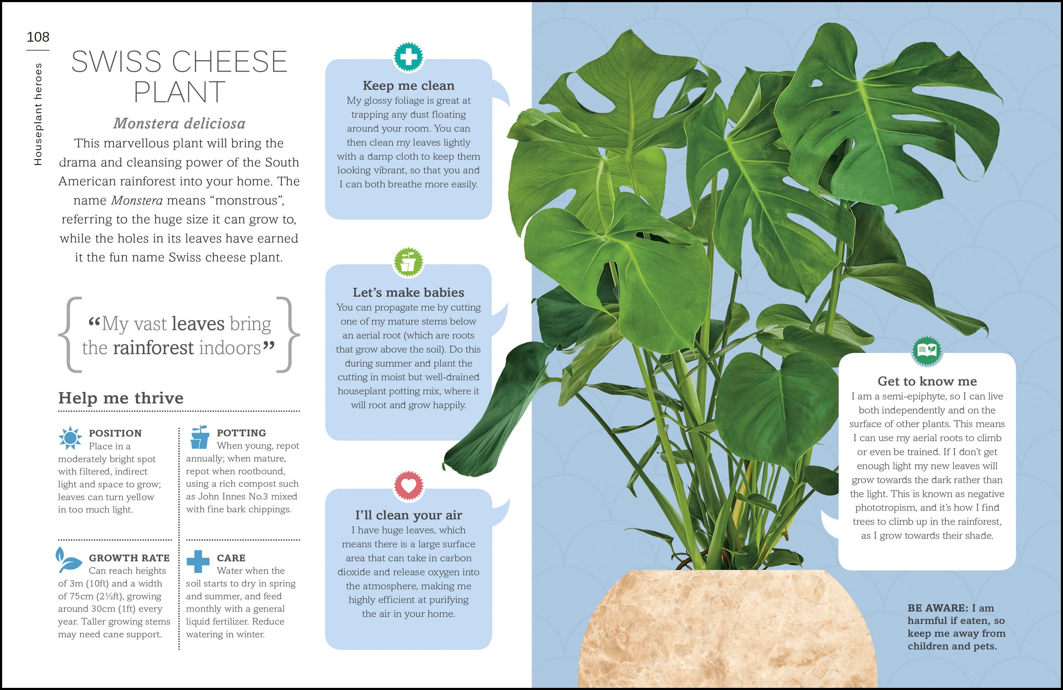 My House Plant Changed My Life