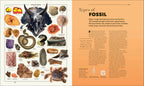 Knowledge A Visual Compendium-Spread, Image, (PRHC, Design, Do, Not, Use)-3