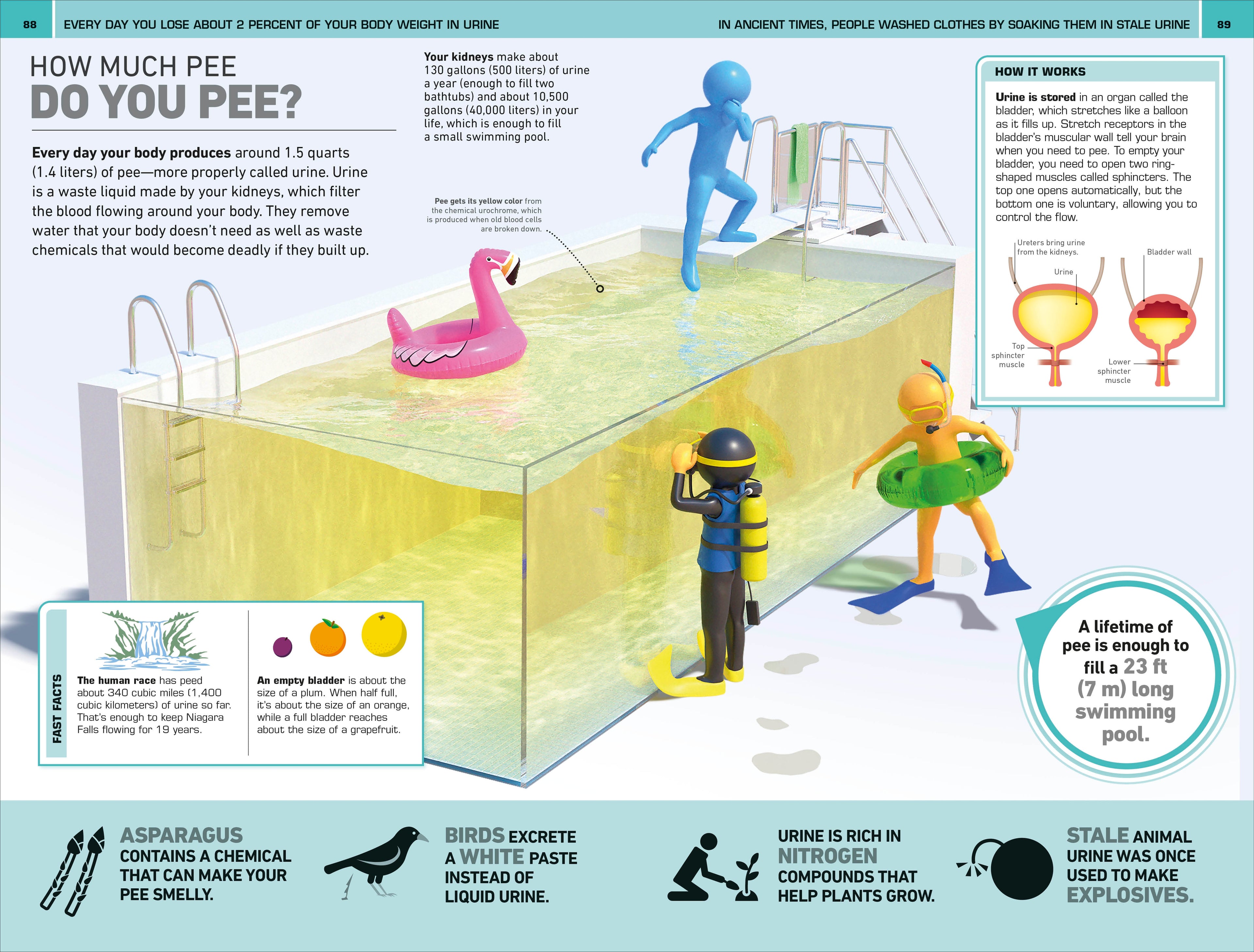 1,000 Amazing Human Body Facts