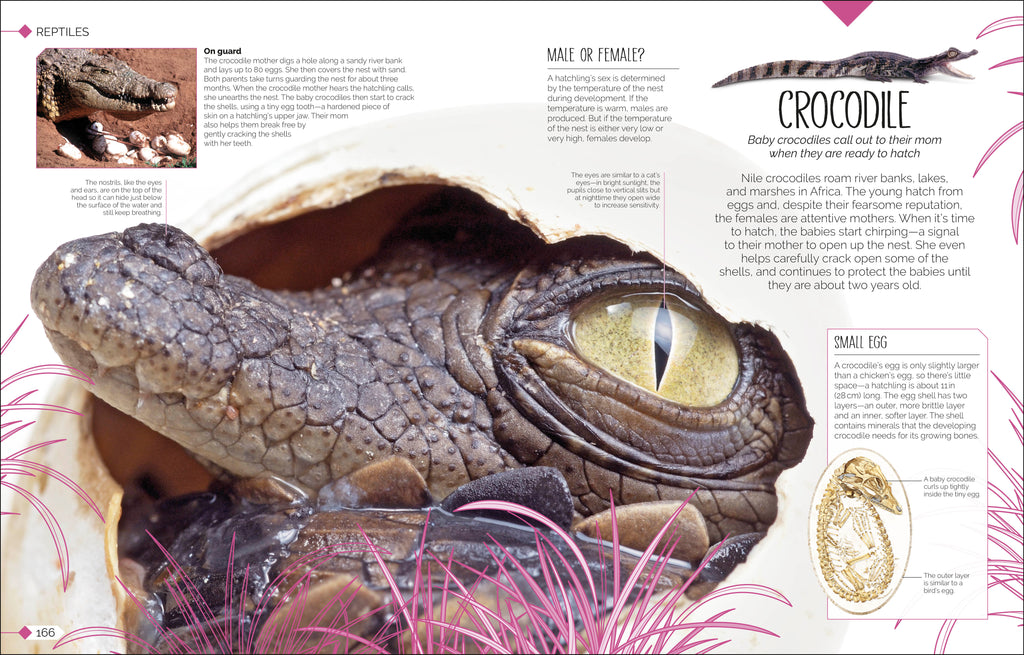 Born to be Wild-Spread, Image, (PRHC, Design, Do, Not, Use)-13