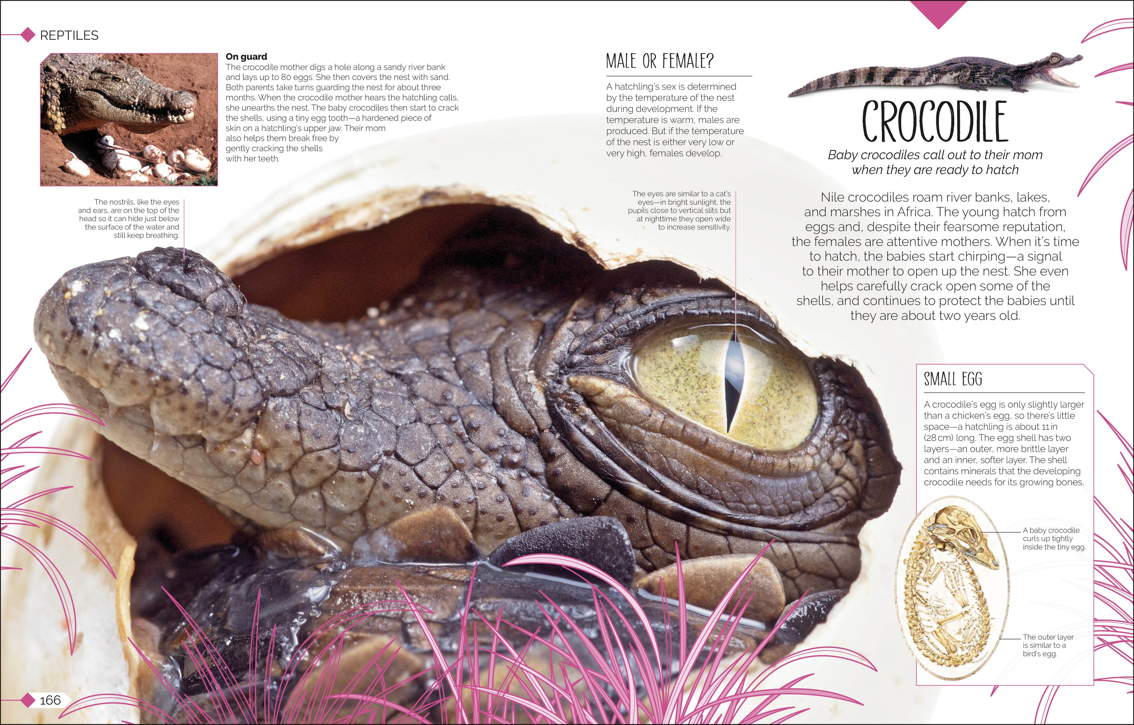 Born to be Wild-Spread, Image, (PRHC, Design, Do, Not, Use)-13