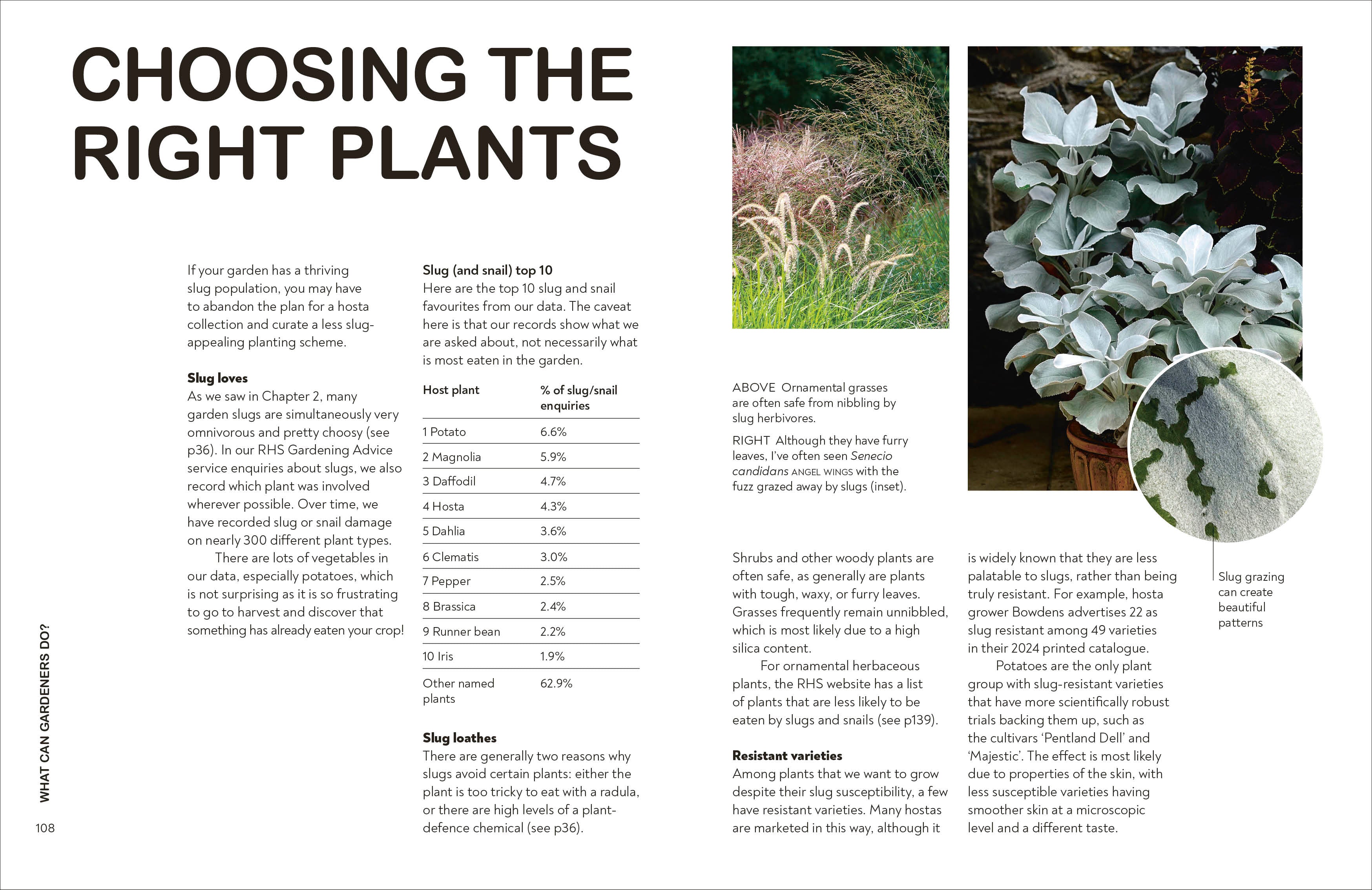 RHS Slugs: Friend or Foe?-Spread, Image, (PRHC, Design, Do, Not, Use)-6