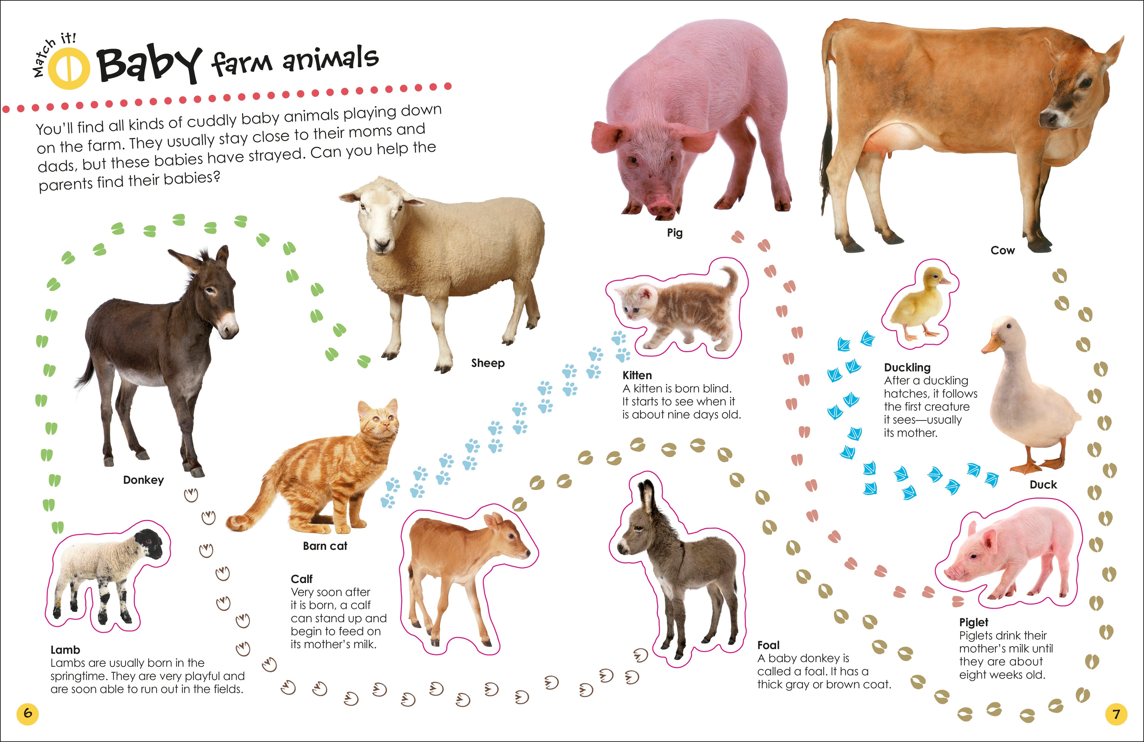 Ultimate Sticker Book Farm