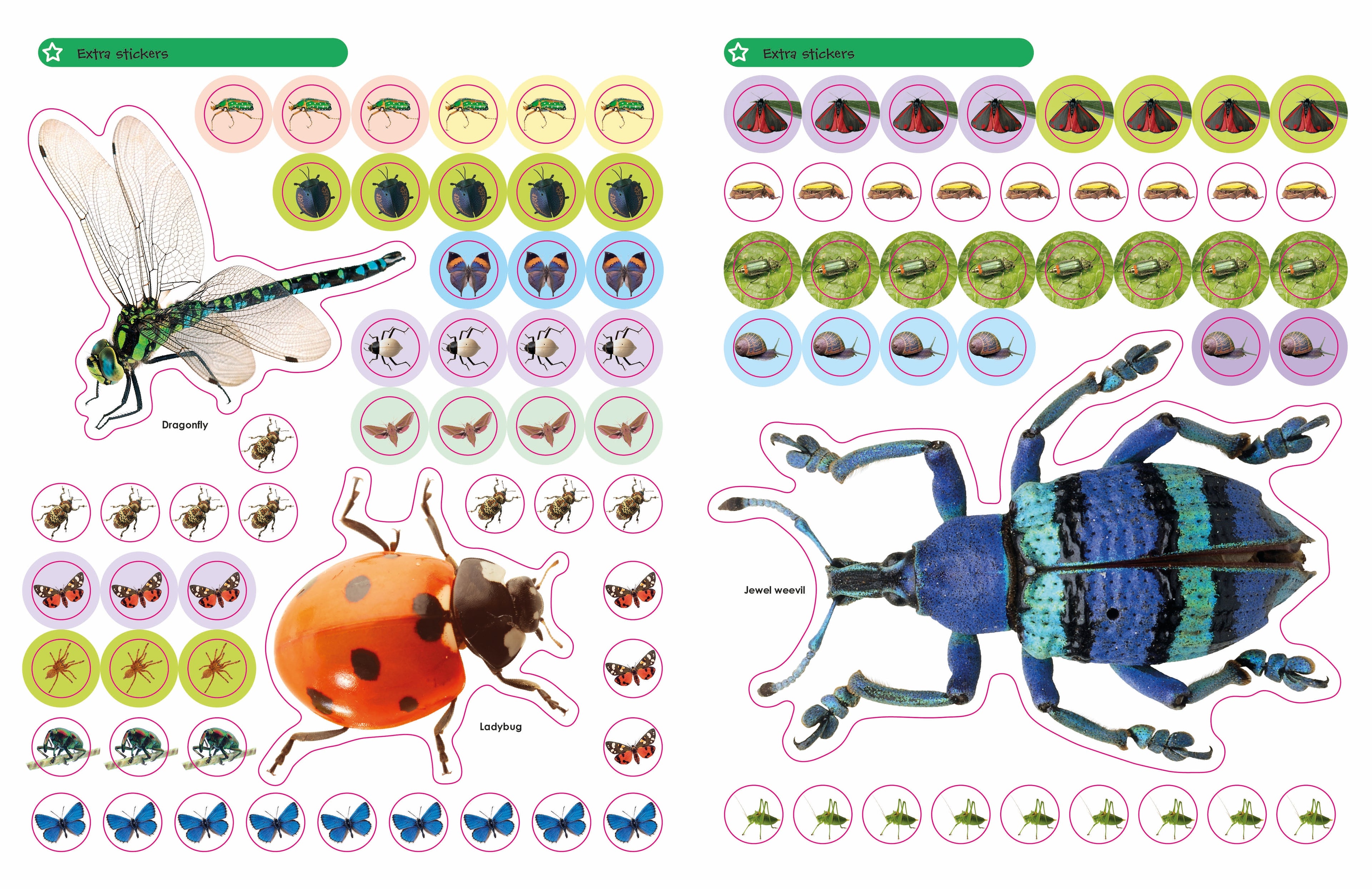 Ultimate Sticker Book: Bugs