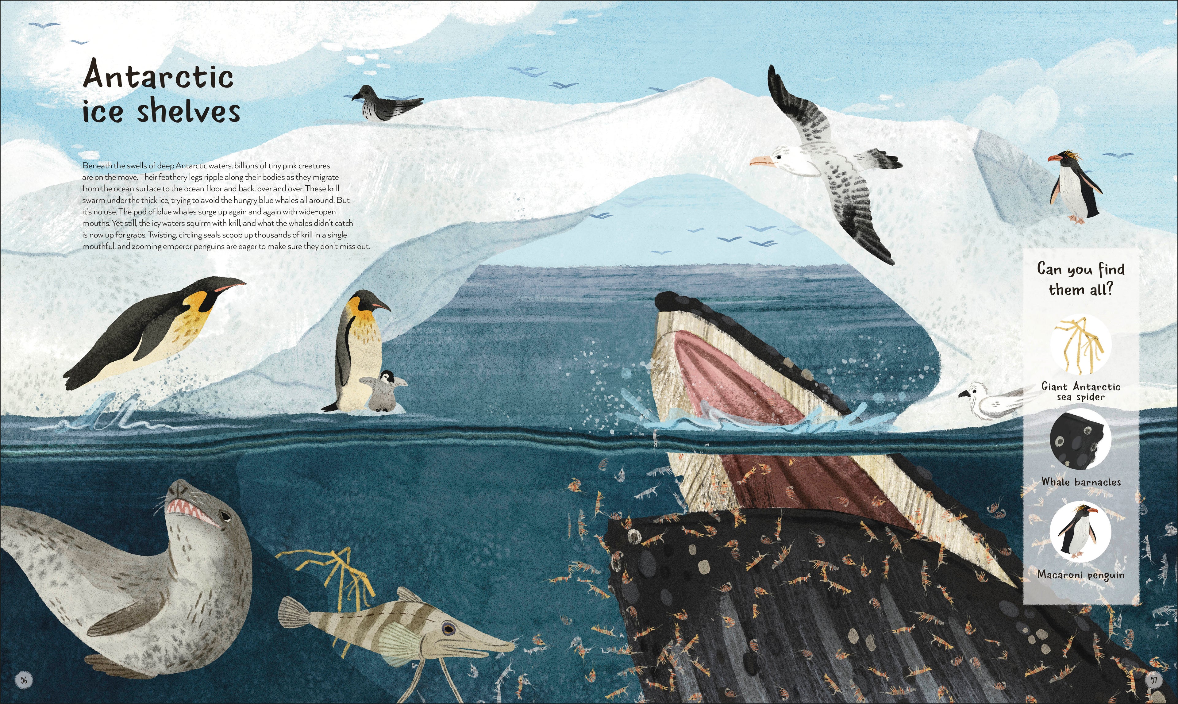 The World's Wildest Waters