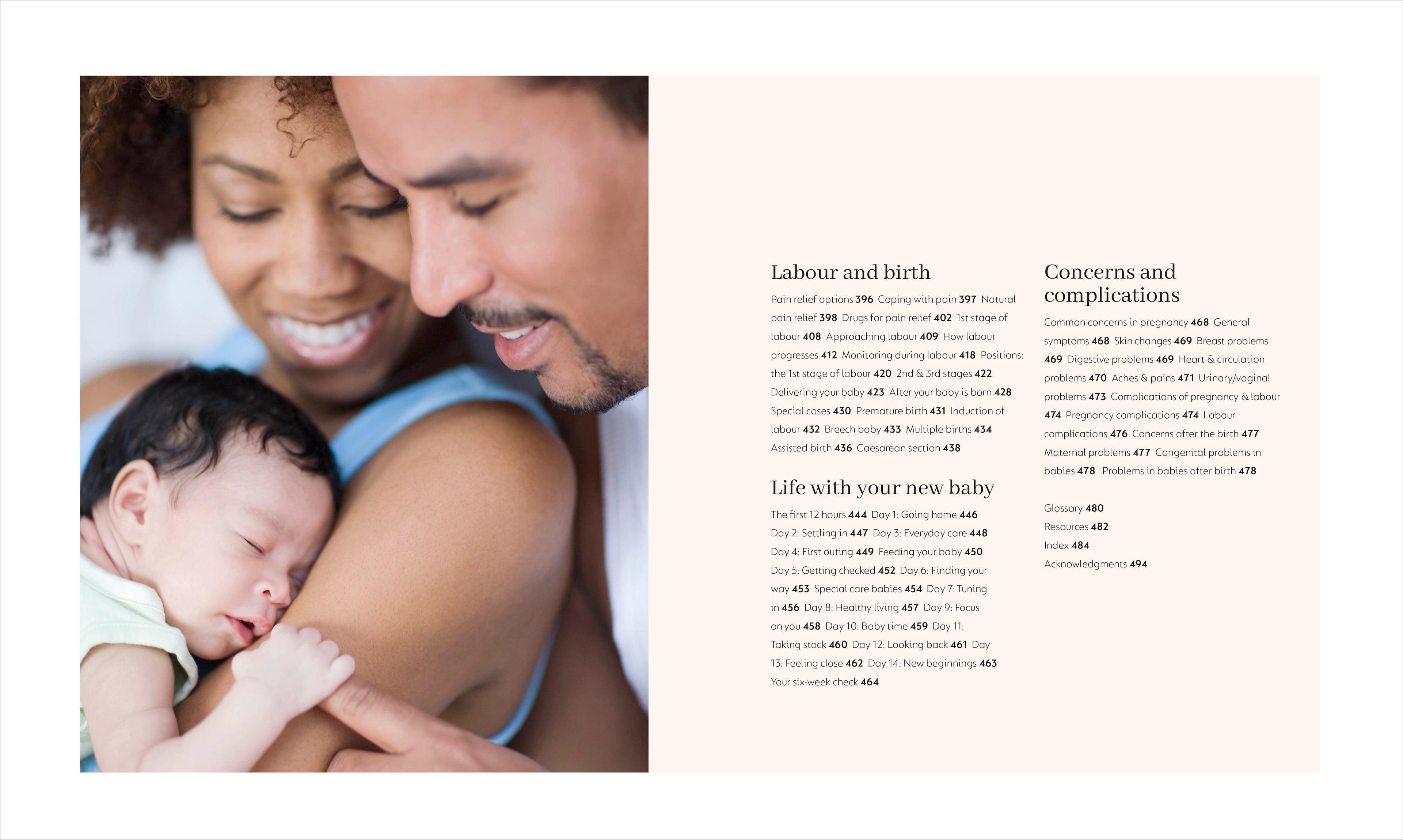 The Day-by-Day Pregnancy Book-spread image