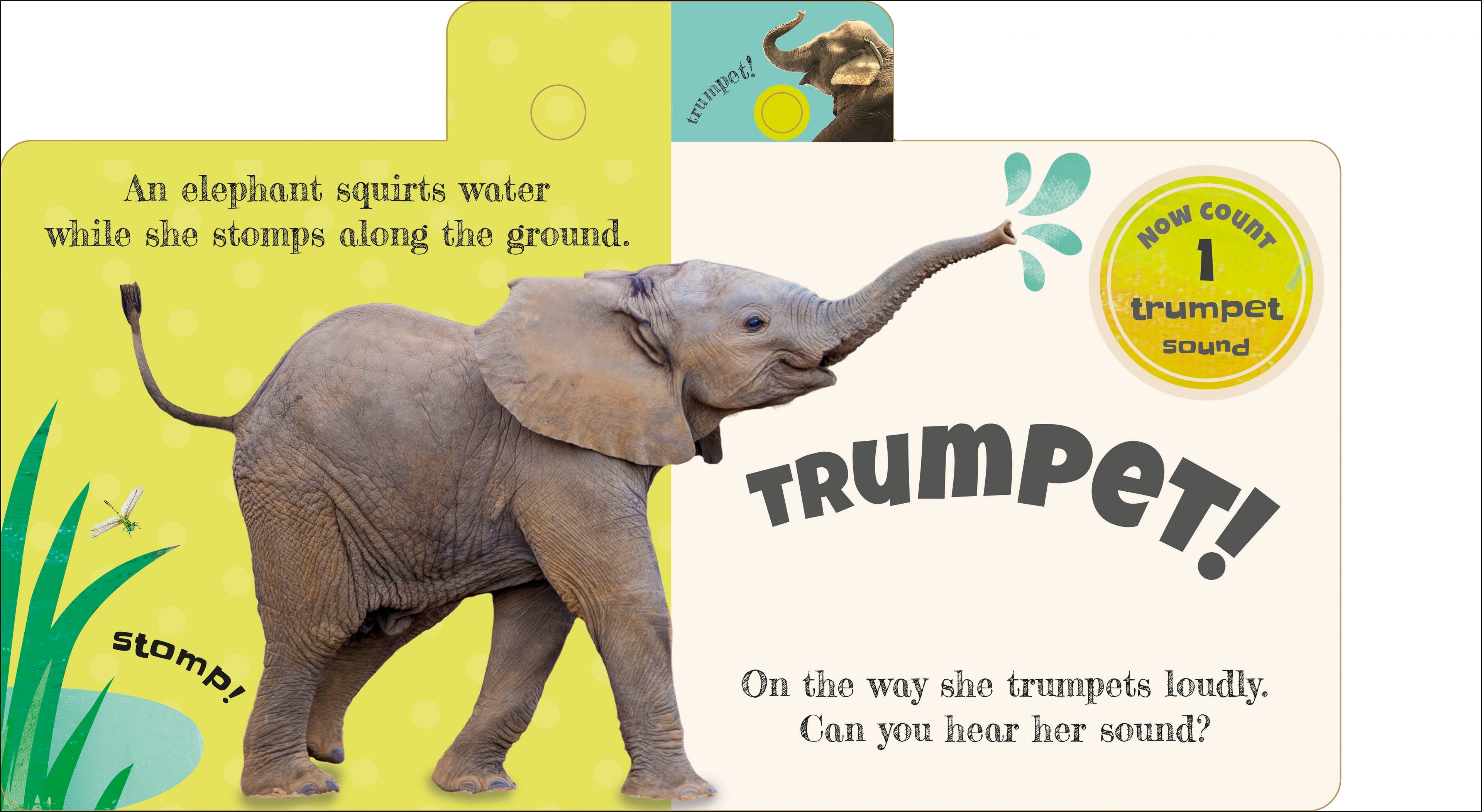 Press and Play Noisy Animals