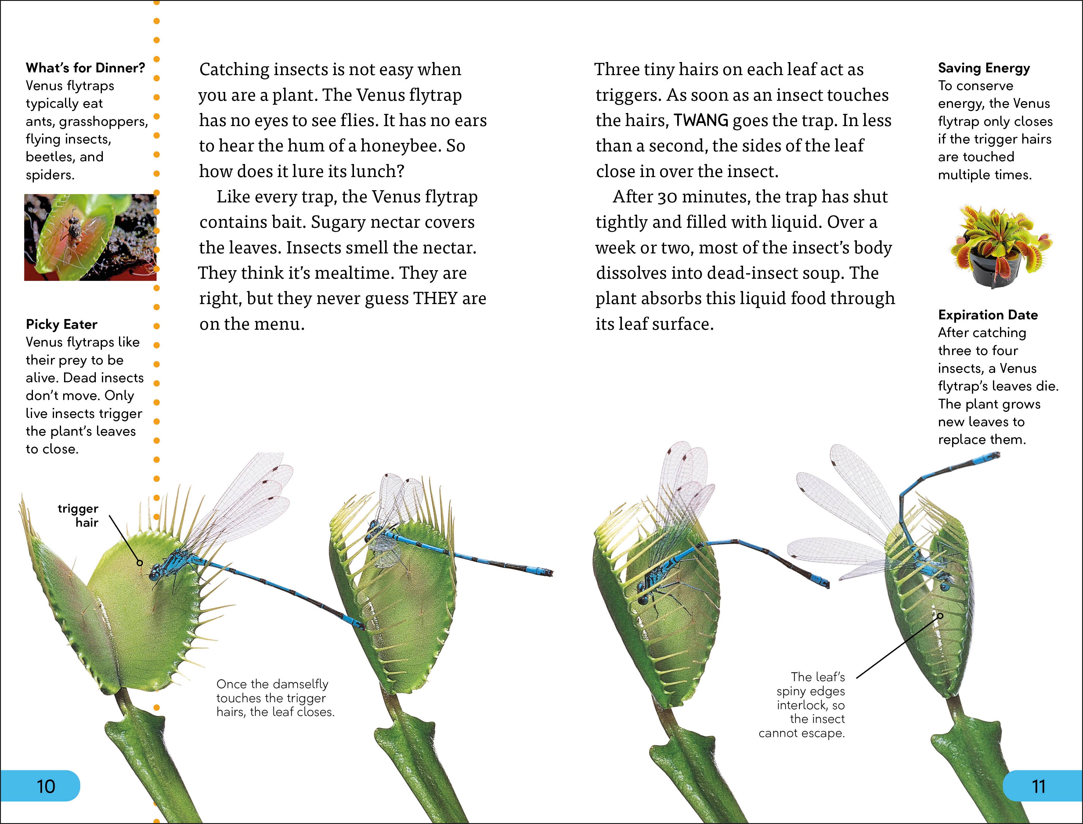 DK Super Readers Level 4 Plants Bite Back