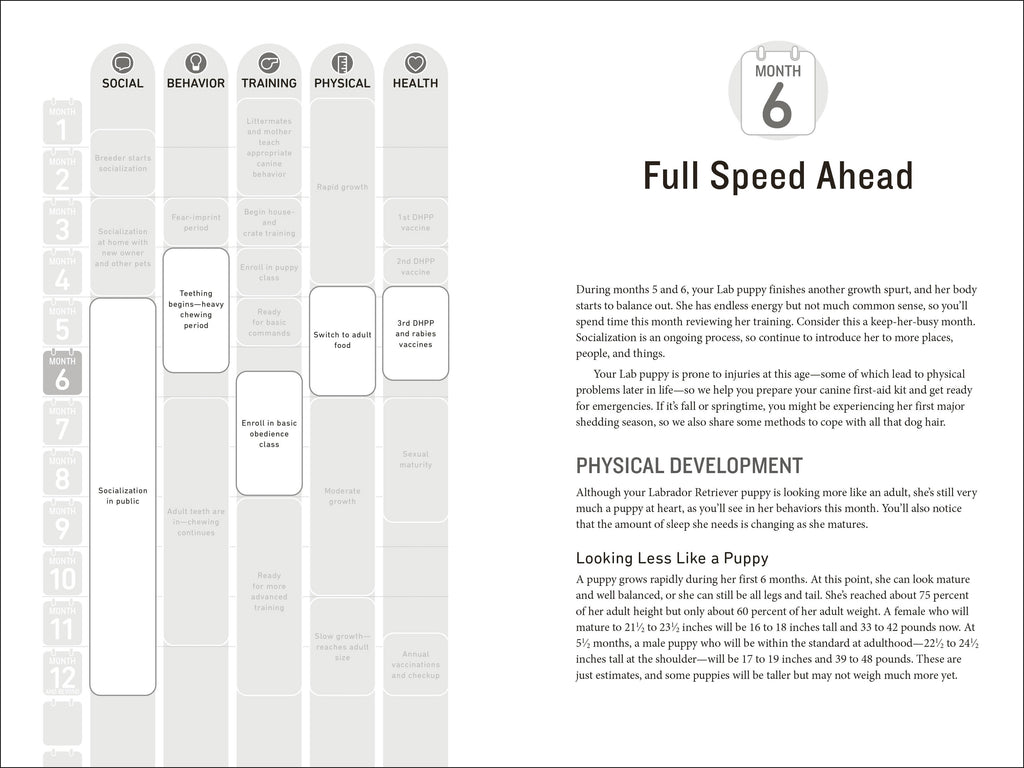 Your Labrador Retriever Puppy Month by Month, 2nd Edition
