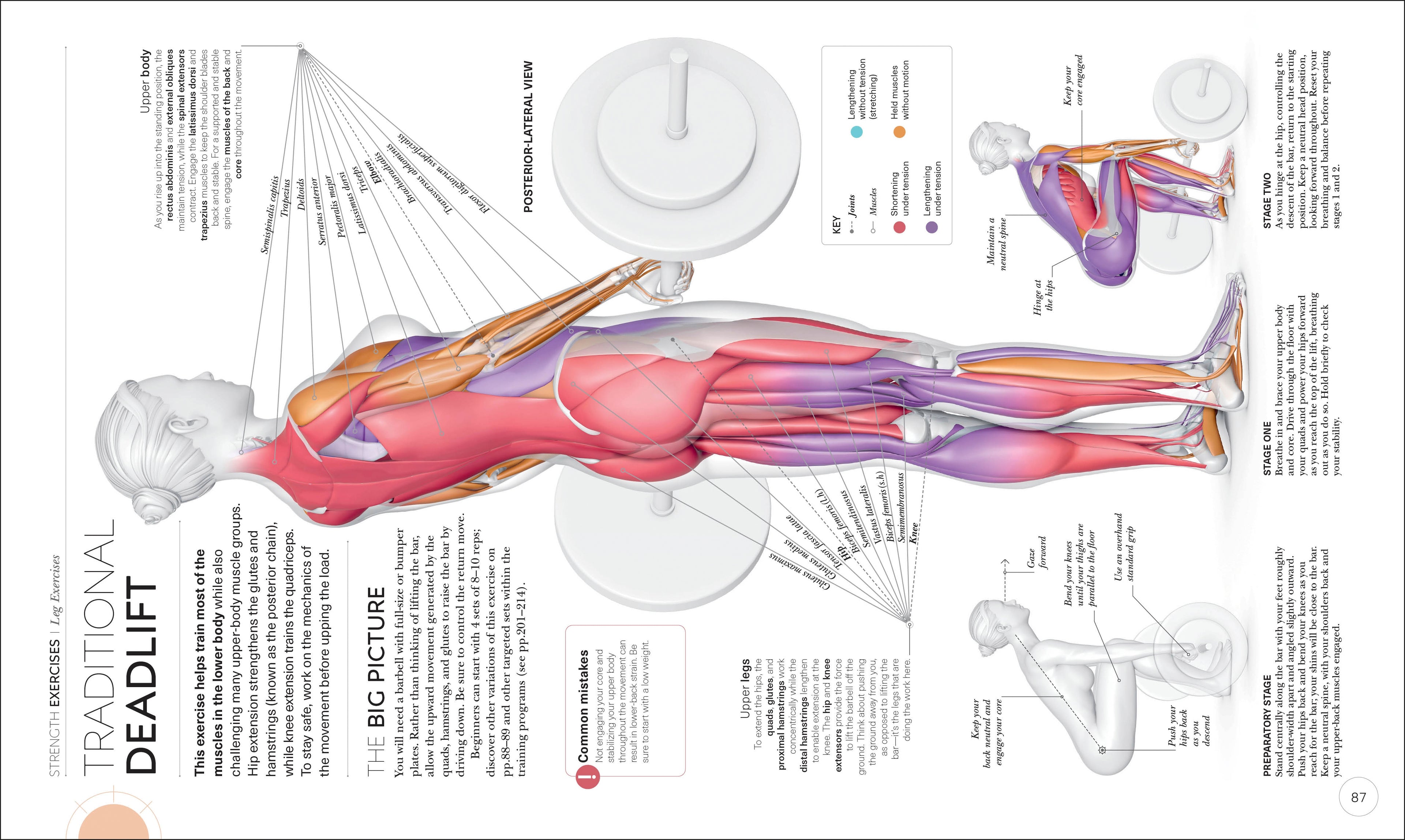 Science of Strength Training