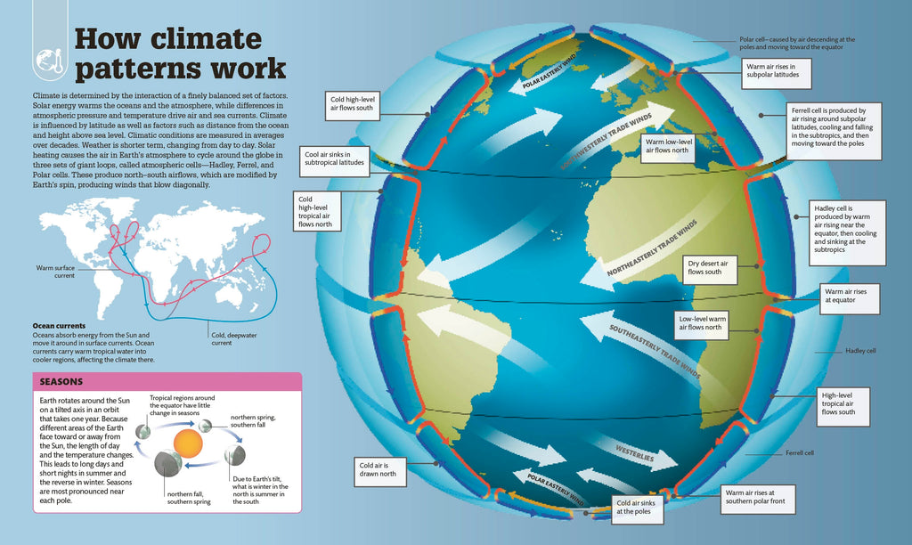 What's Really Happening to Our Planet?