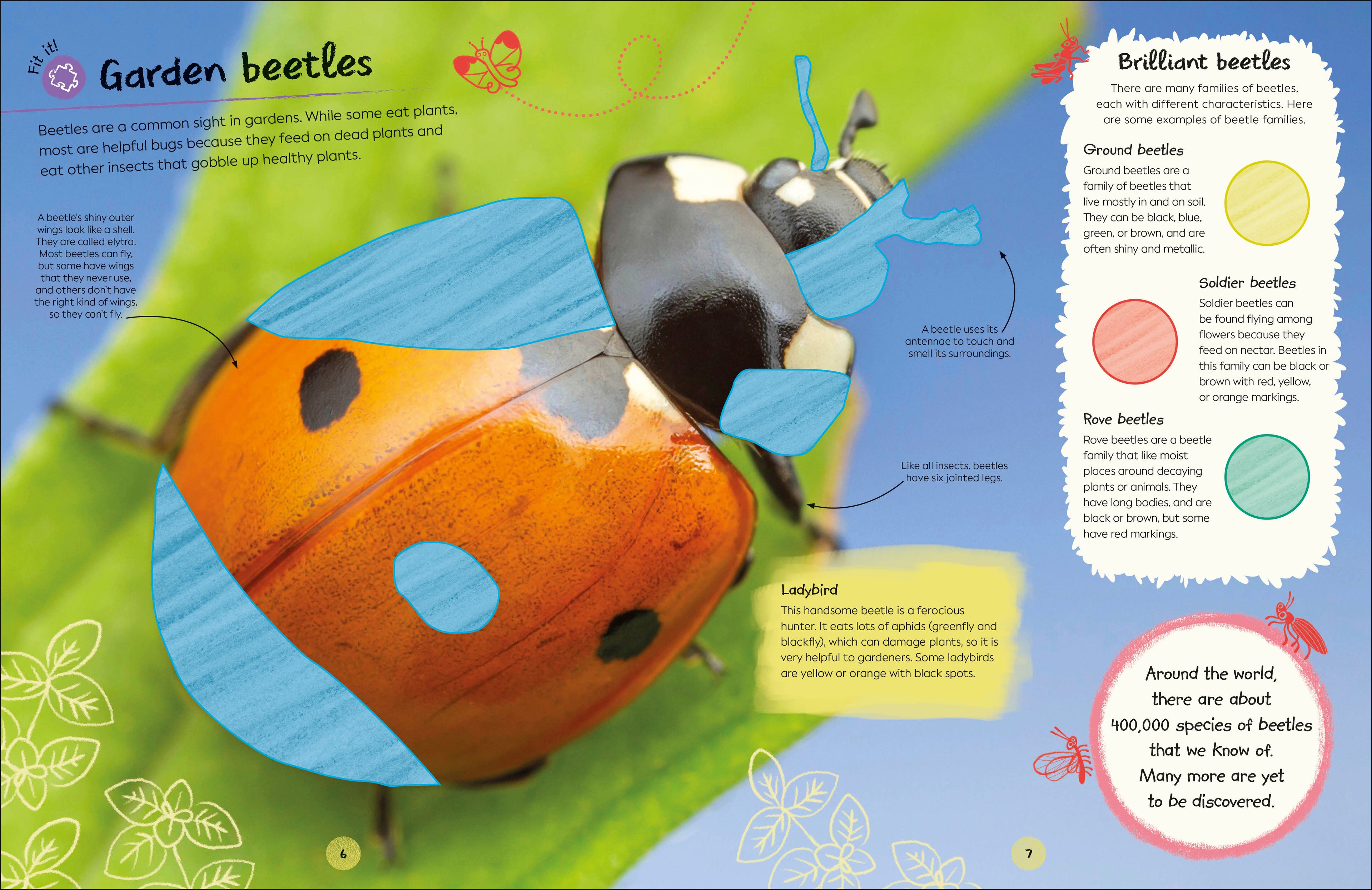 RHS Ultimate Sticker Book Garden Bugs