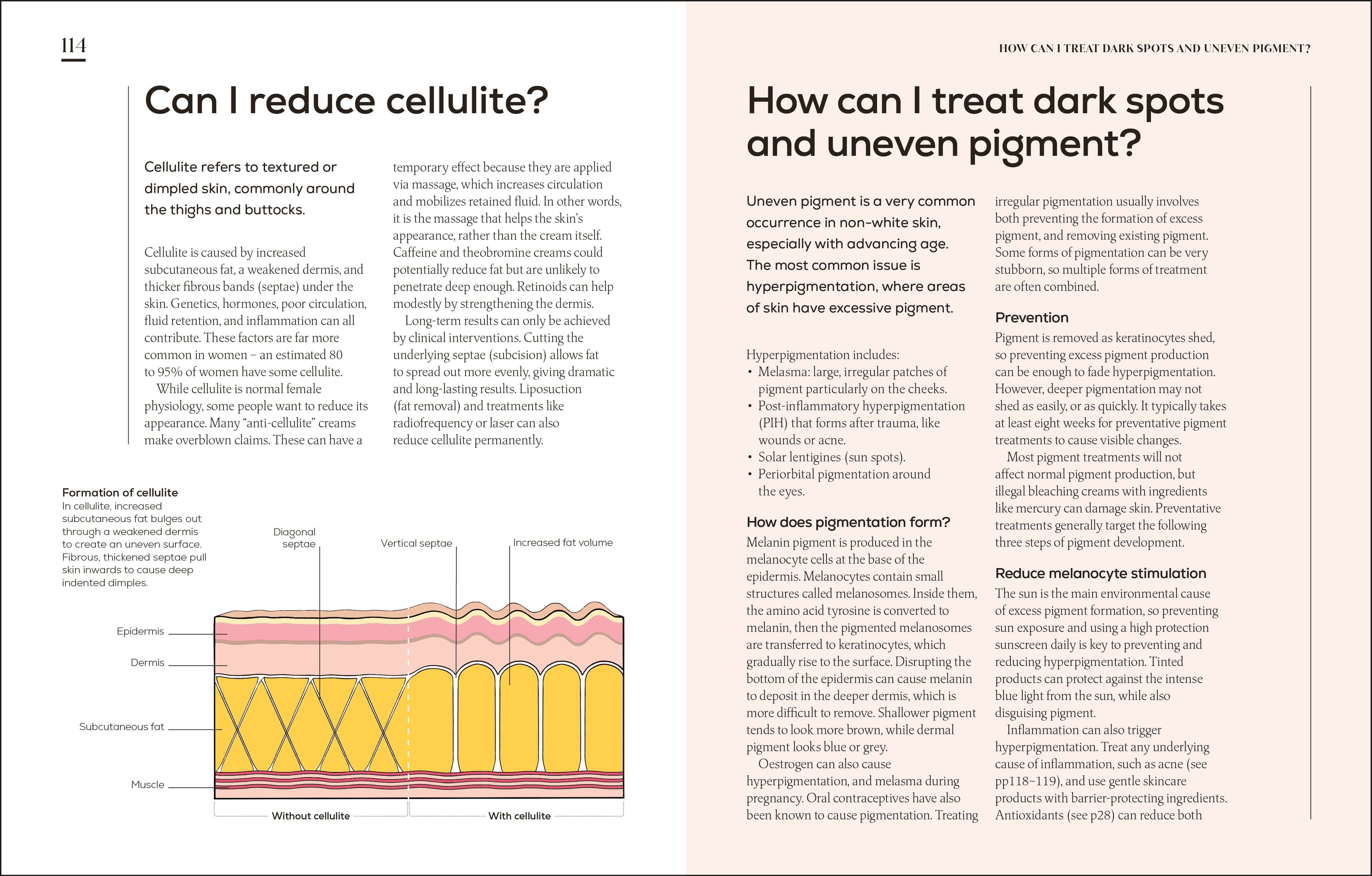 The Science of Beauty-Spread, Image, (PRHC, Design, Do, Not, Use)-3