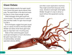 DK Super Readers Level 3 Giant Squid