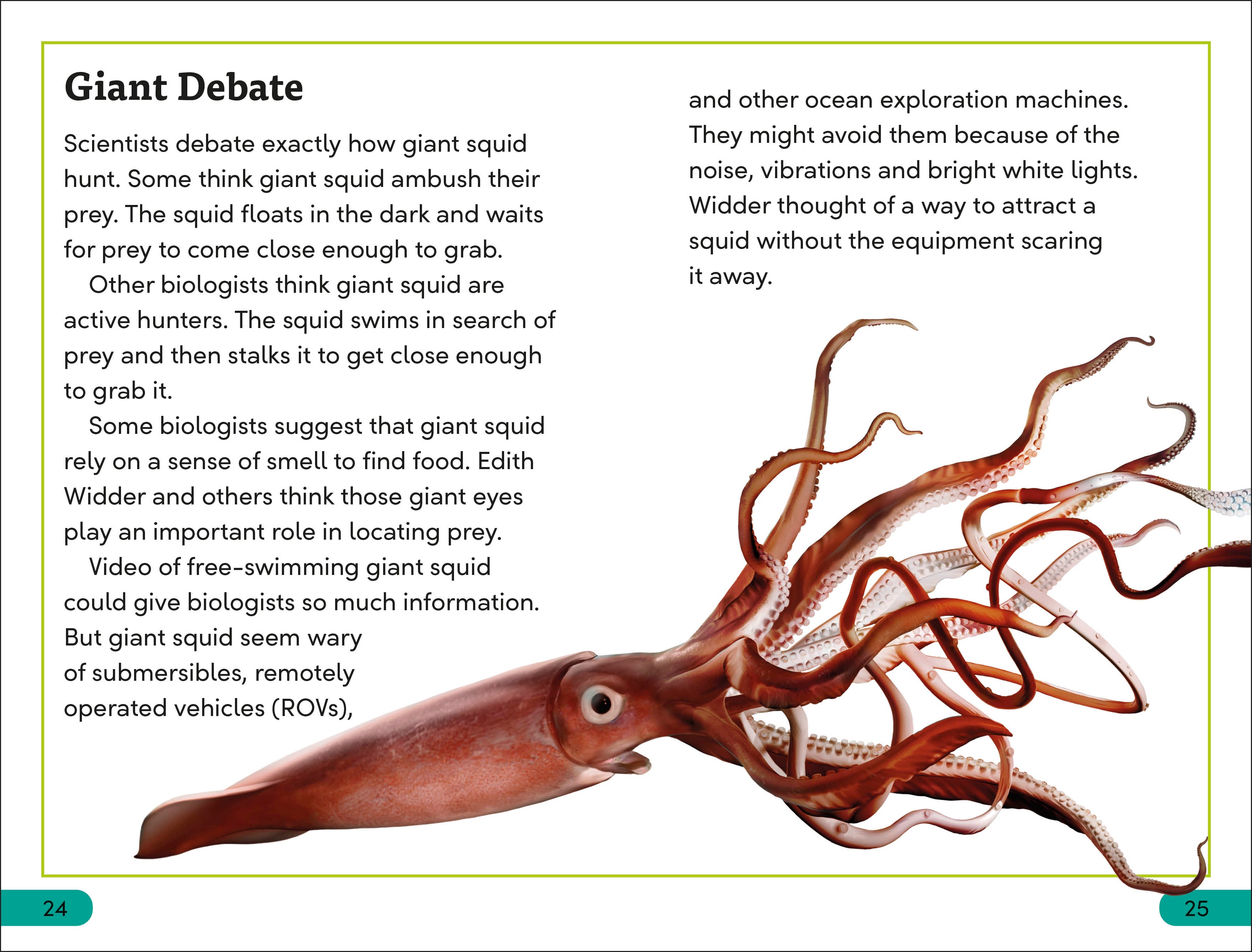 DK Super Readers Level 3 Giant Squid