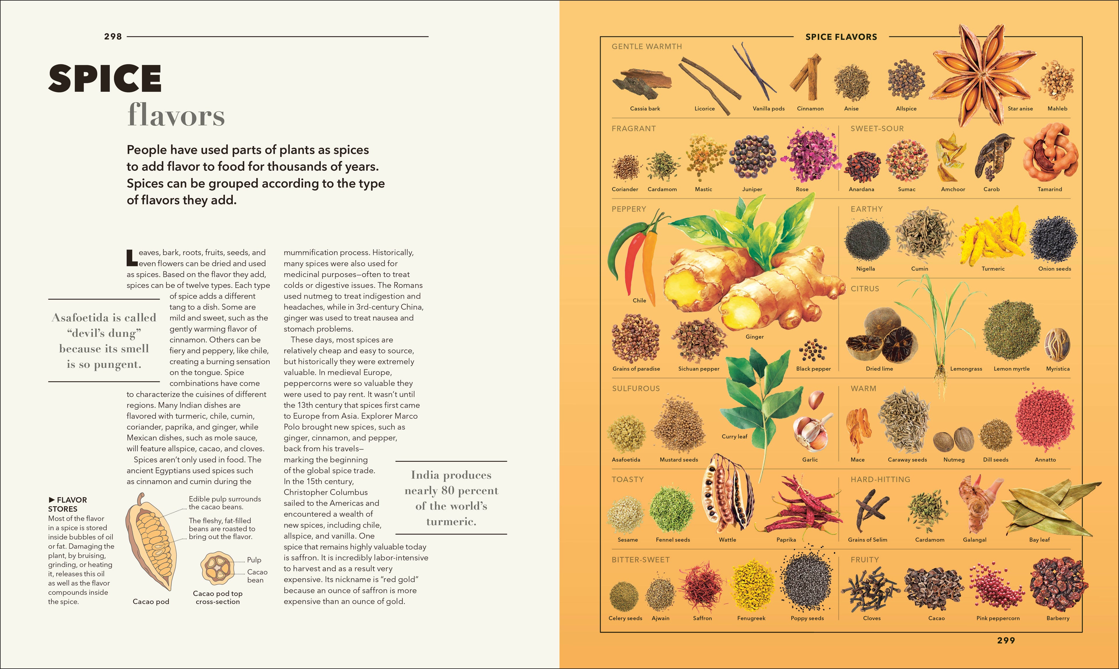 Knowledge A Visual Compendium-Spread, Image, (PRHC, Design, Do, Not, Use)-12