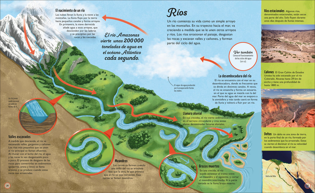 La vida del agua (Water Cycles)-Spread, Image, (PRHC, Design, Do, Not, Use)-71