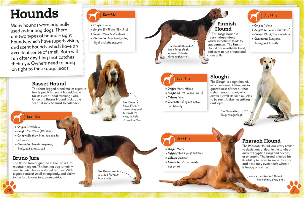 My Book of Dogs and Puppies