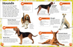 My Book of Dogs and Puppies