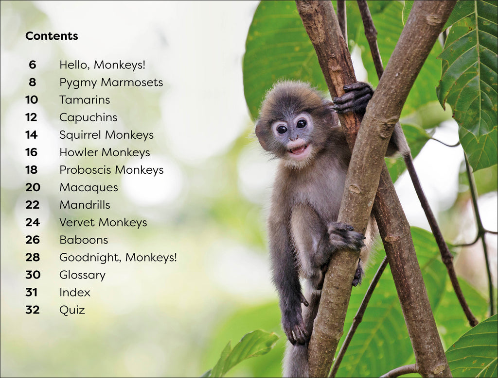 DK Super Readers Level 1 Monkeys