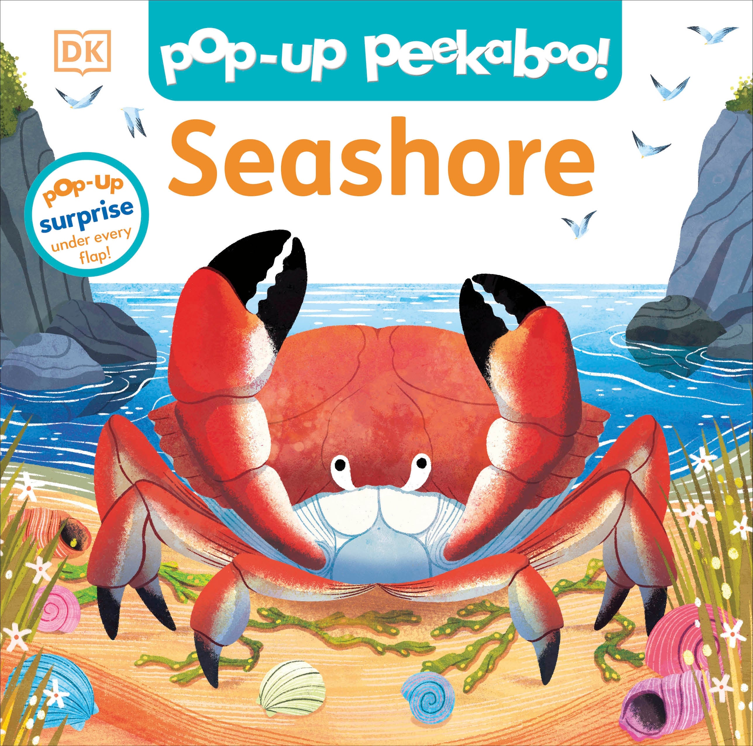 Pop-Up Peekaboo! Seashore