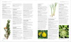 Encyclopedia of Herbal Medicine New Edition-image