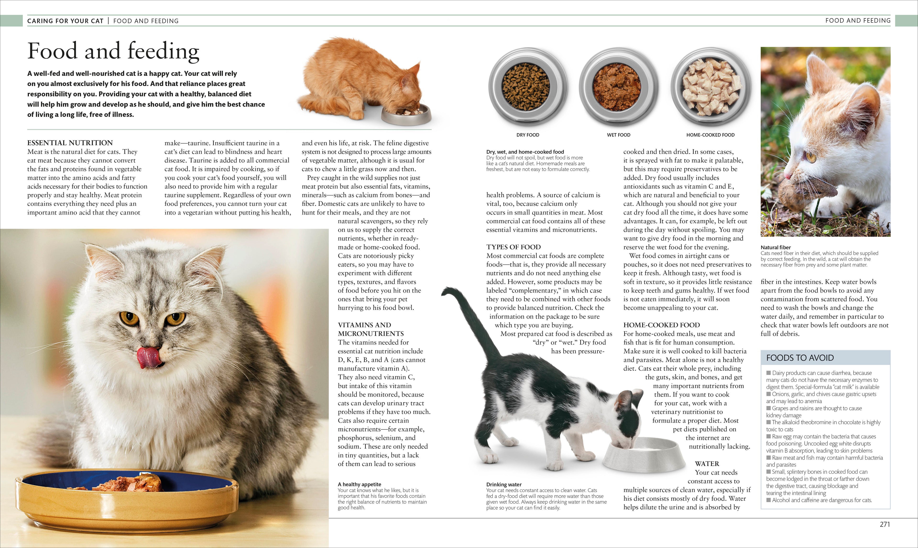 The Cat Encyclopedia-Spread, Image, (PRHC, Design, Do, Not, Use)-10