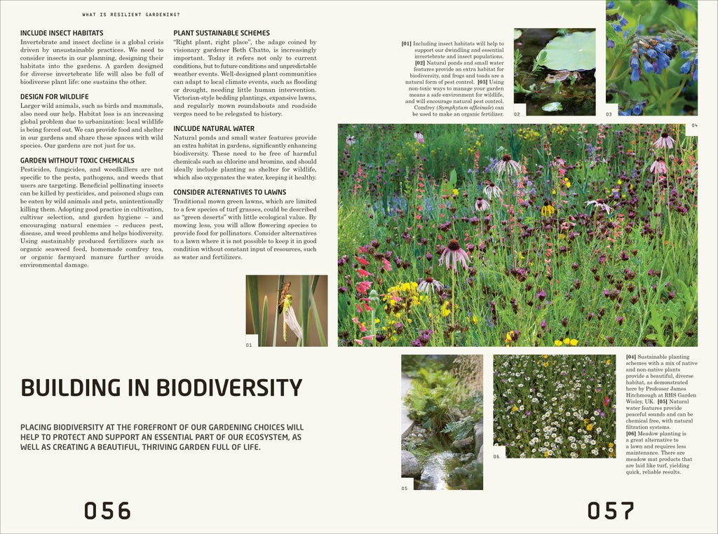 RHS Resilient Garden-Spread, Image, (PRHC, Design, Do, Not, Use)-2