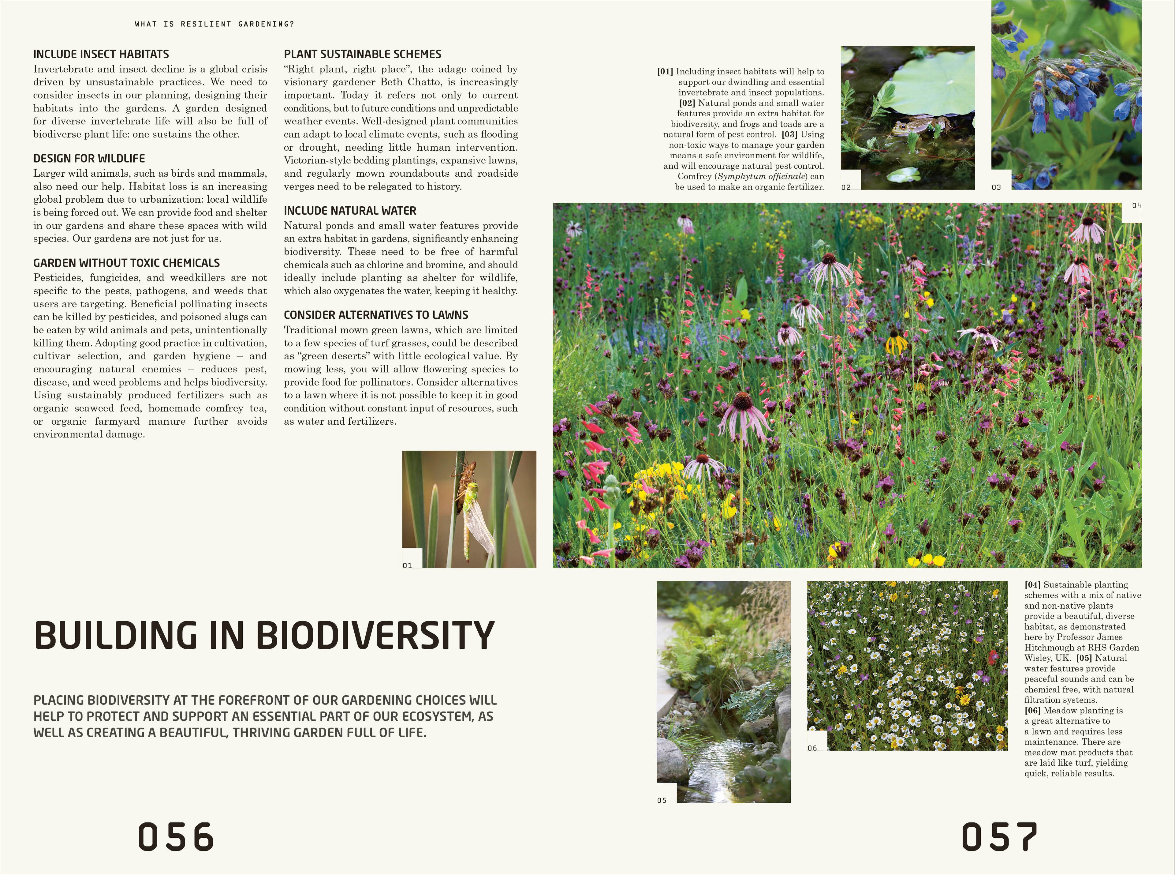 RHS Resilient Garden-Spread, Image, (PRHC, Design, Do, Not, Use)-2