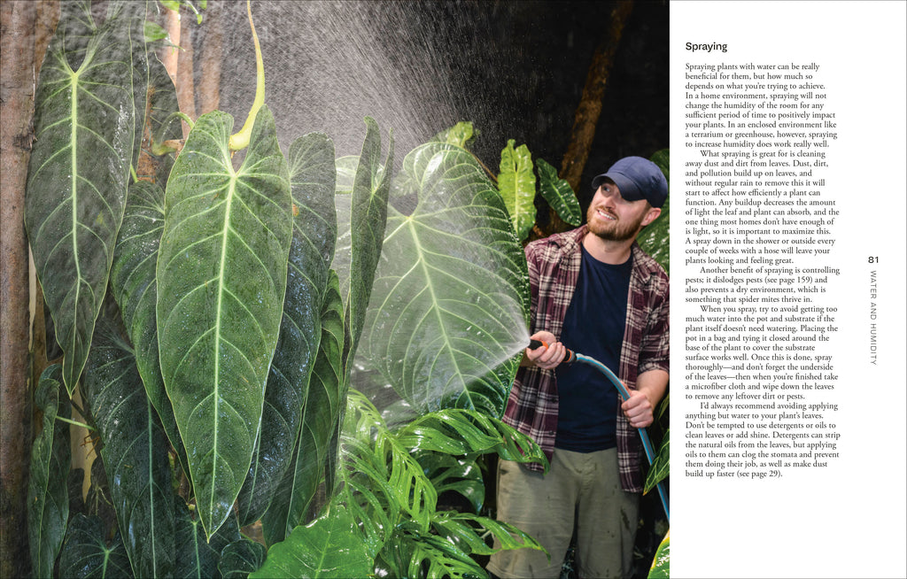 Not Another Jungle-image