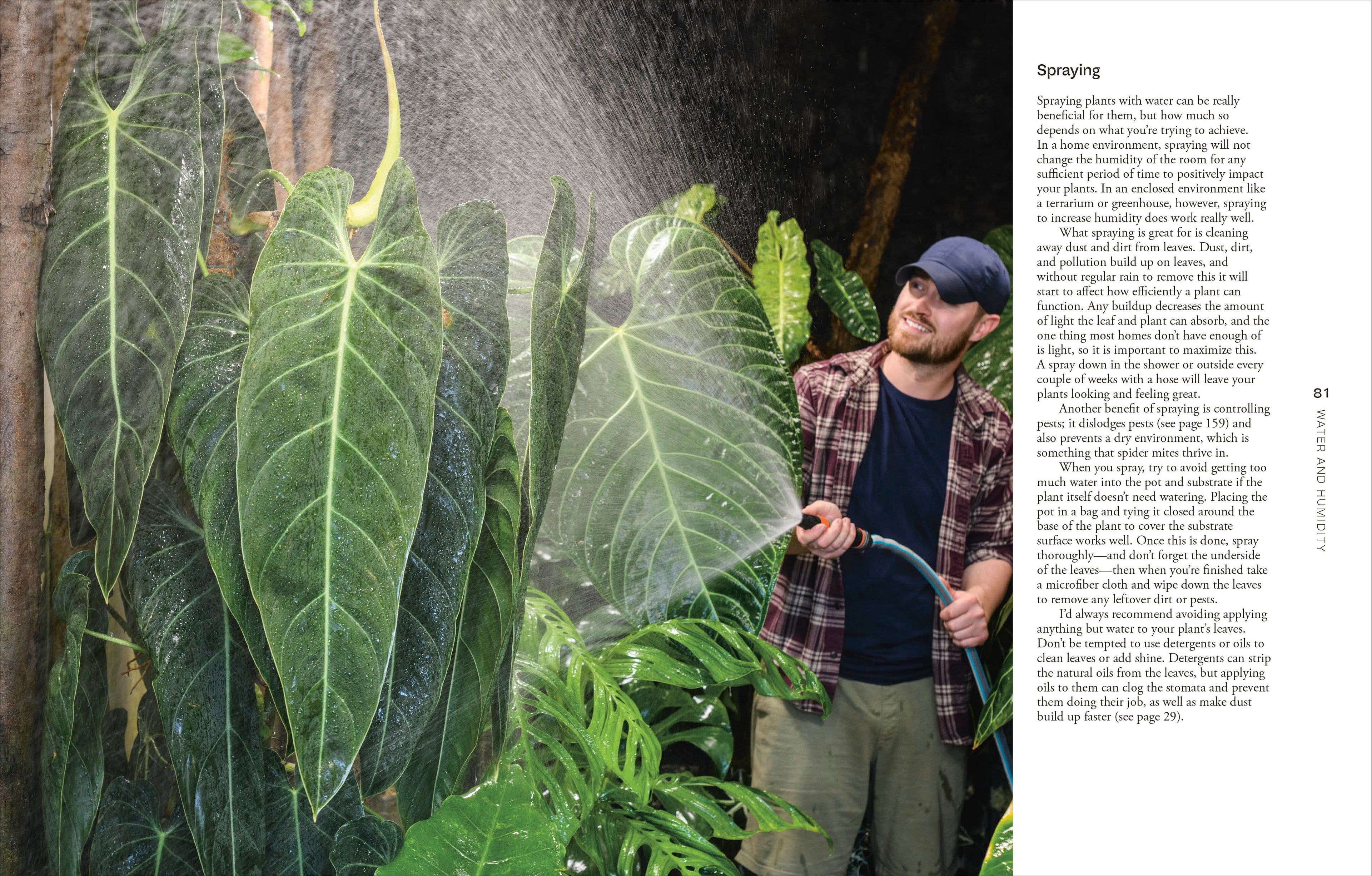 Not Another Jungle-image