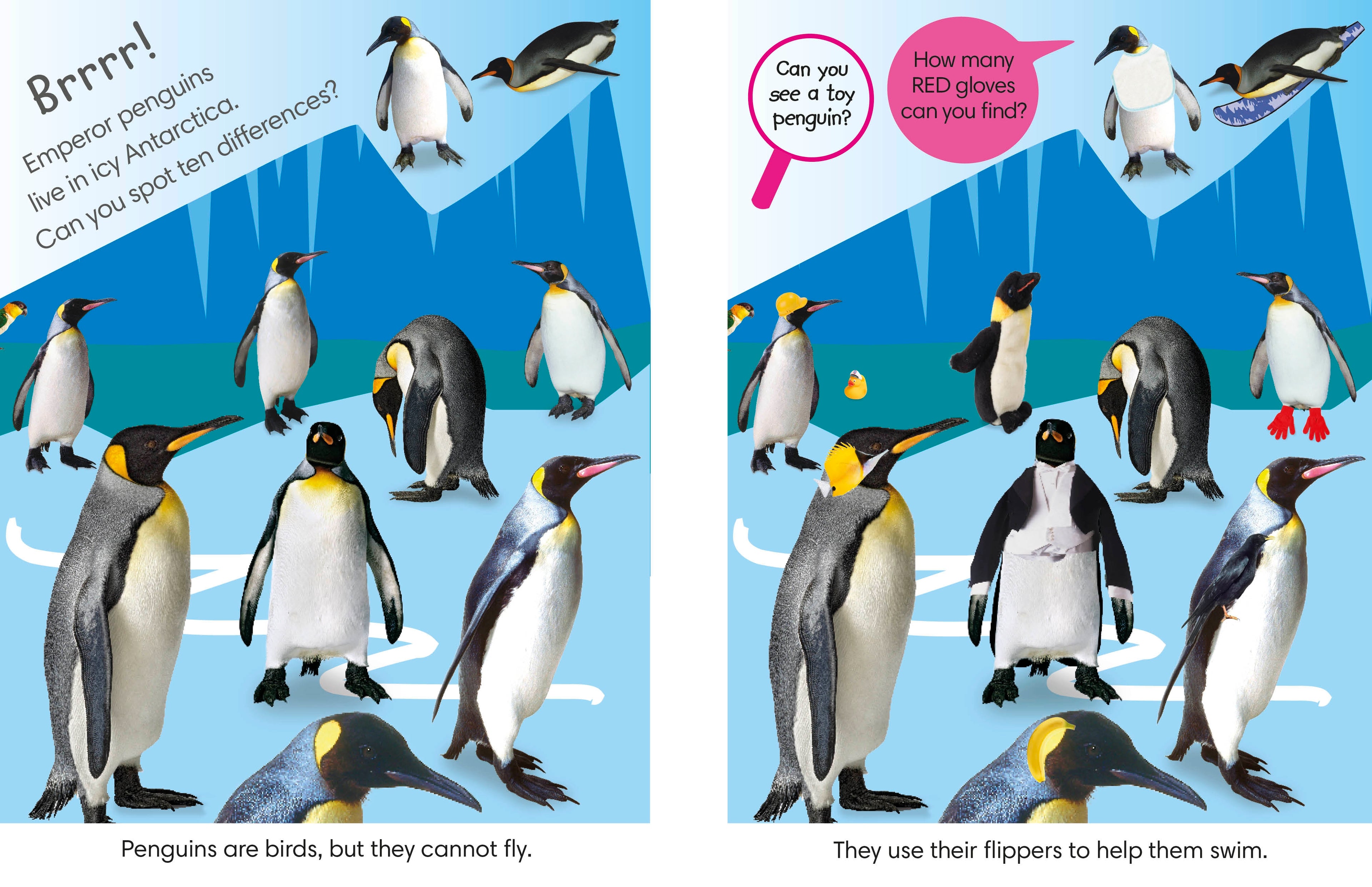 Spot the Difference Animals