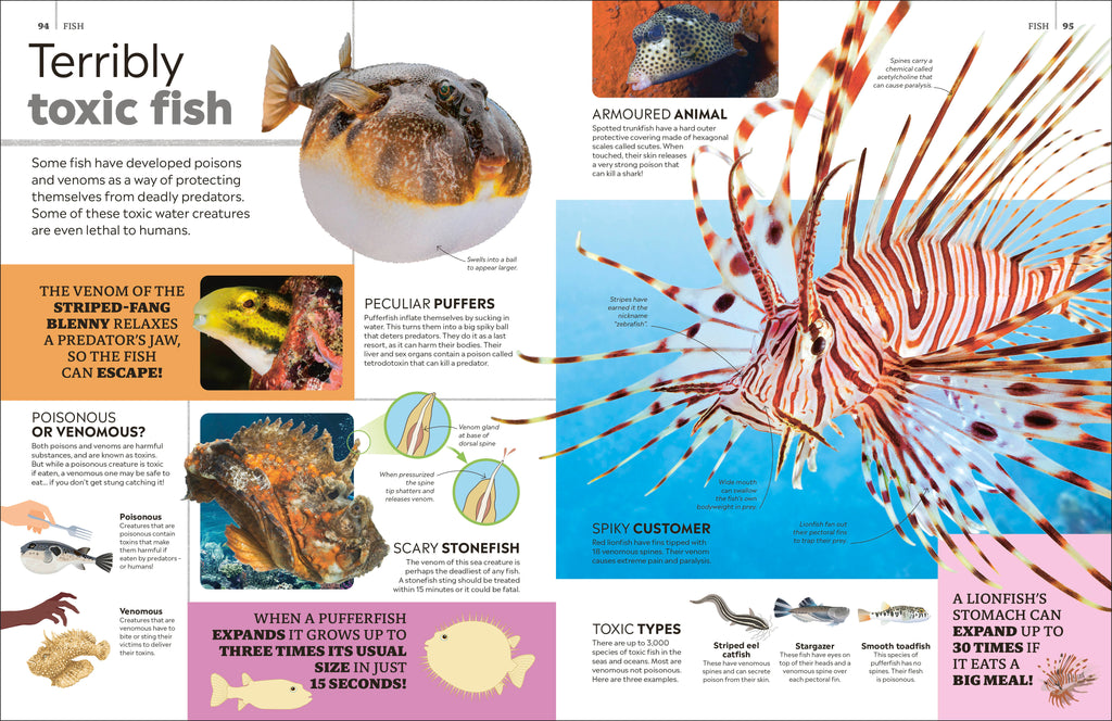 Eyewitness Encyclopedia of Animals