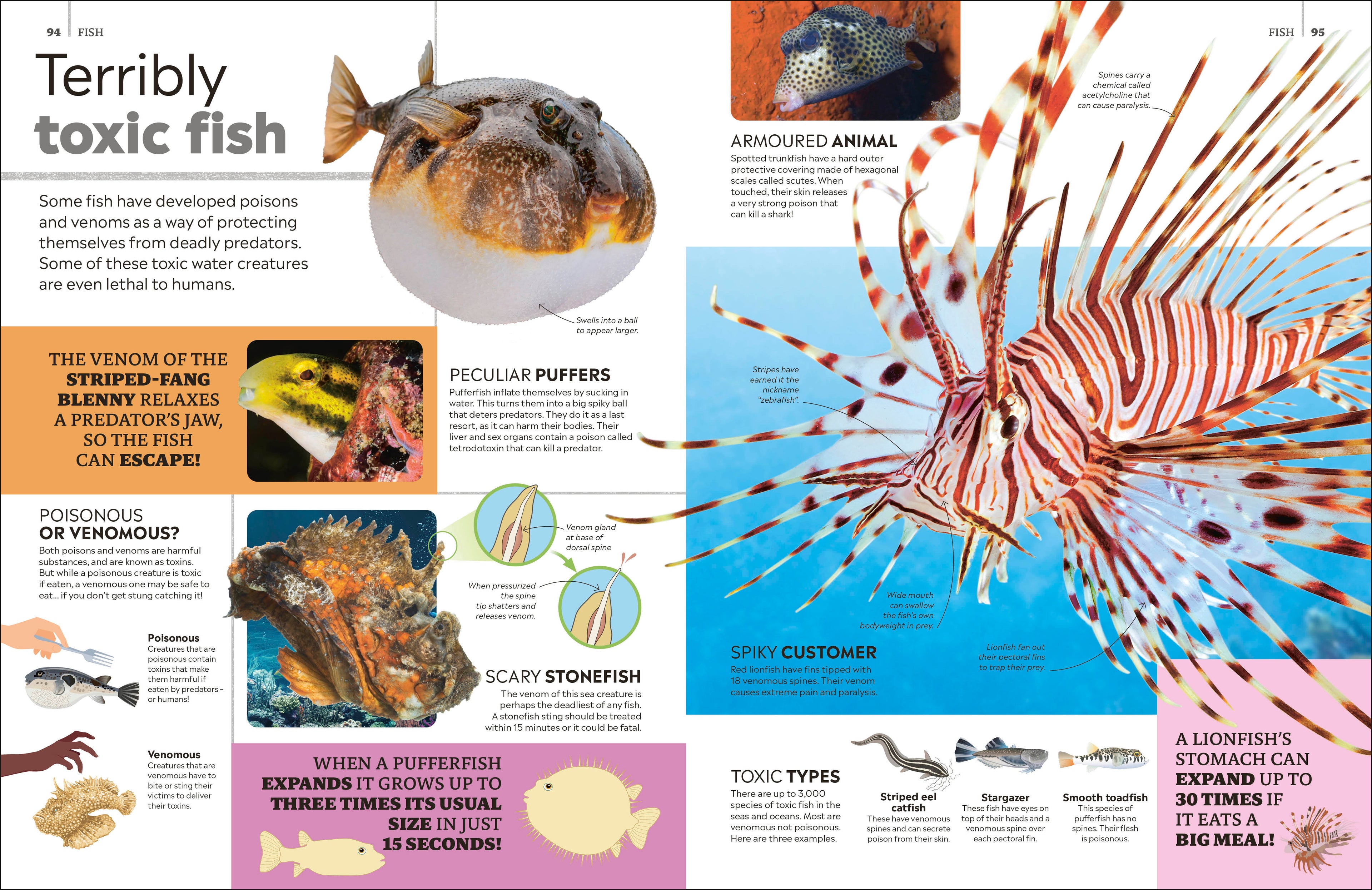 Eyewitness Encyclopedia of Animals