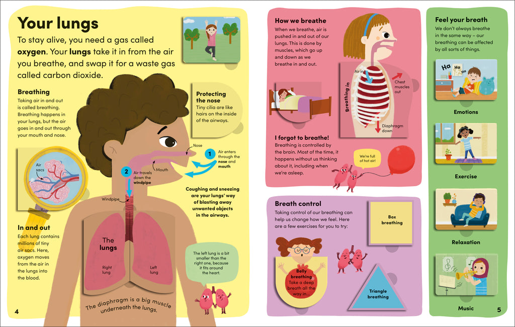 You and Your Body-Spread, Image, (PRHC, Design, Do, Not, Use)-3