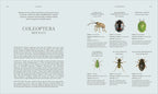 Insects-Spread, Image, (PRHC, Design, Do, Not, Use)-5