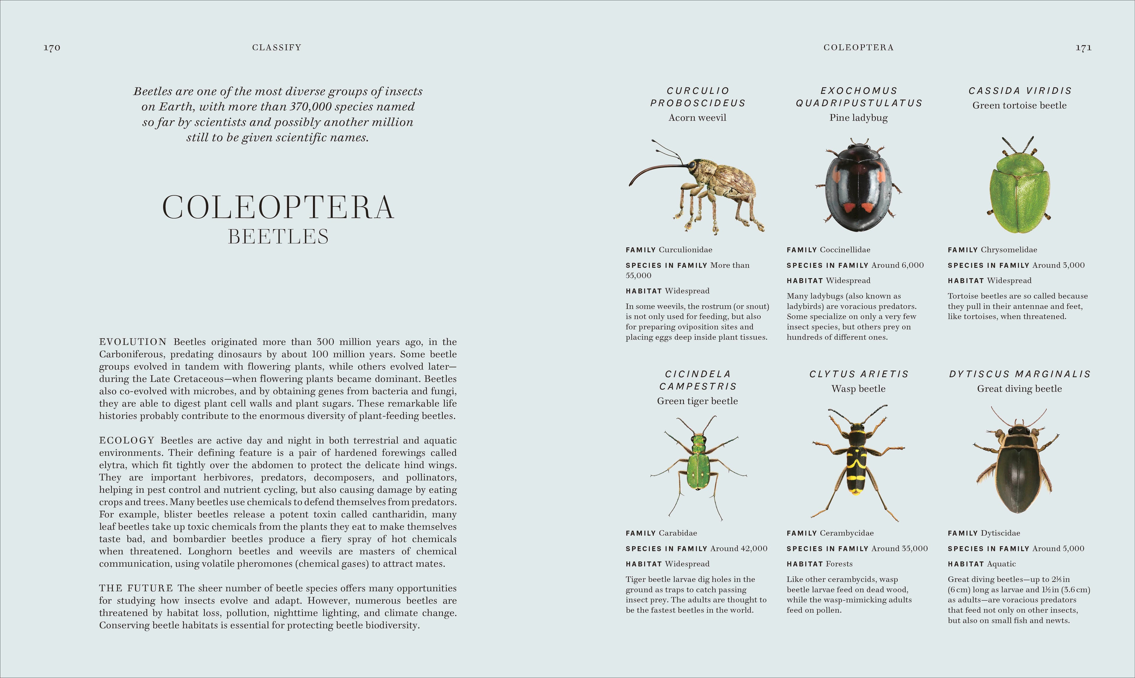 Insects-Spread, Image, (PRHC, Design, Do, Not, Use)-5