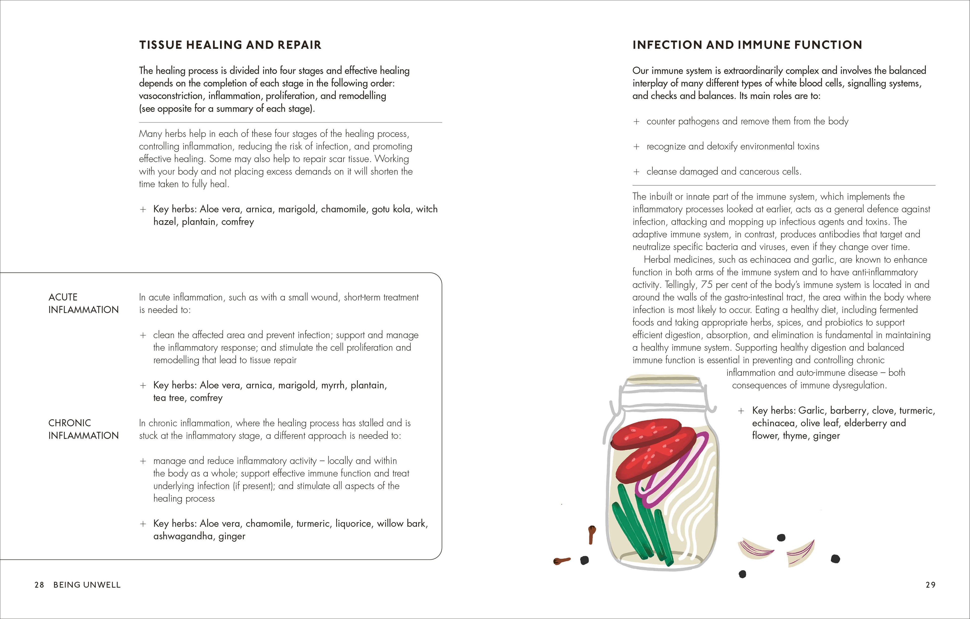 The Home Herbal-Spread, Image, (PRHC, Design, Do, Not, Use)-1