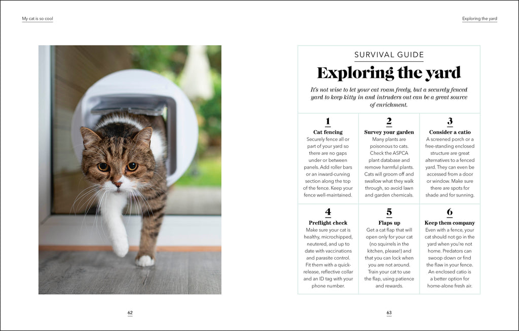 What's My Cat Thinking?