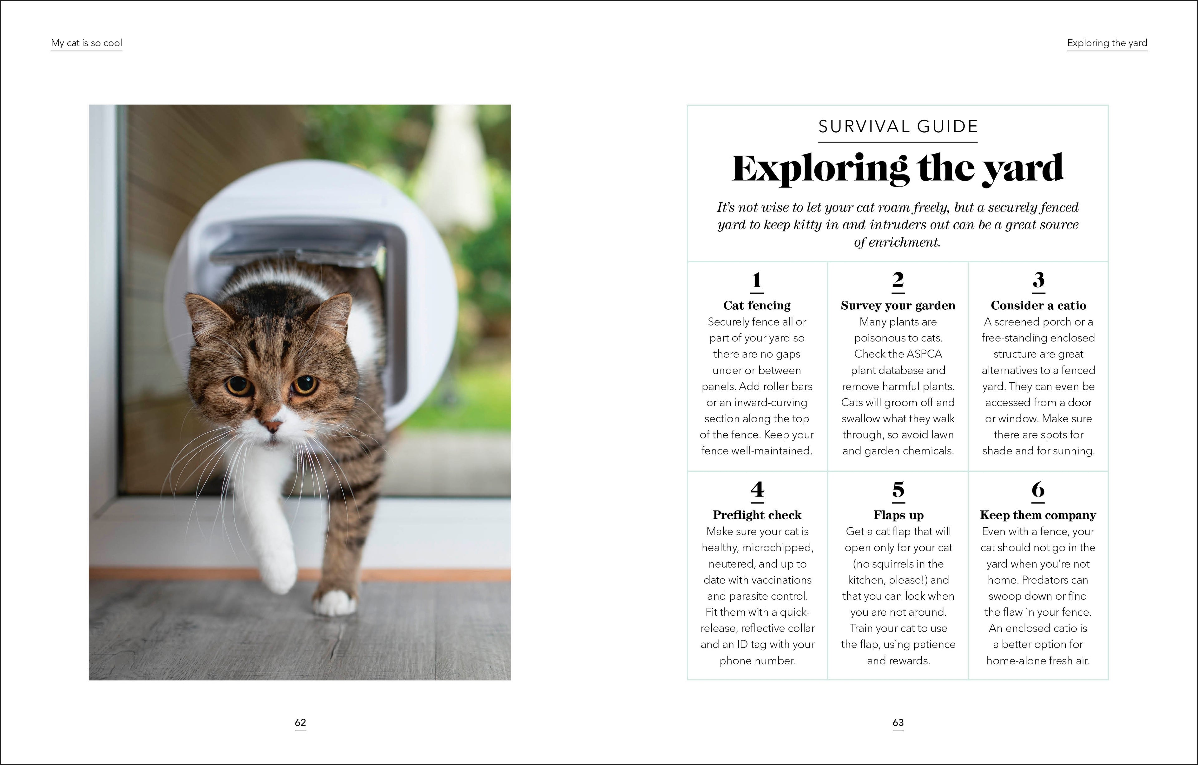 What's My Cat Thinking?