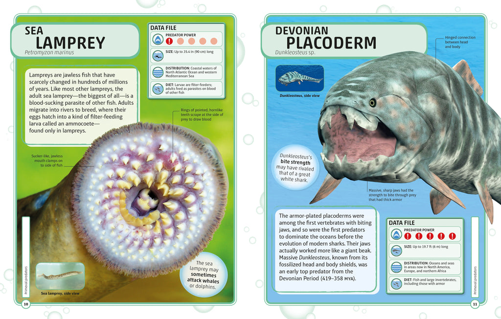 Sharks and Other Deadly Ocean Creatures Visual Encyclopedia